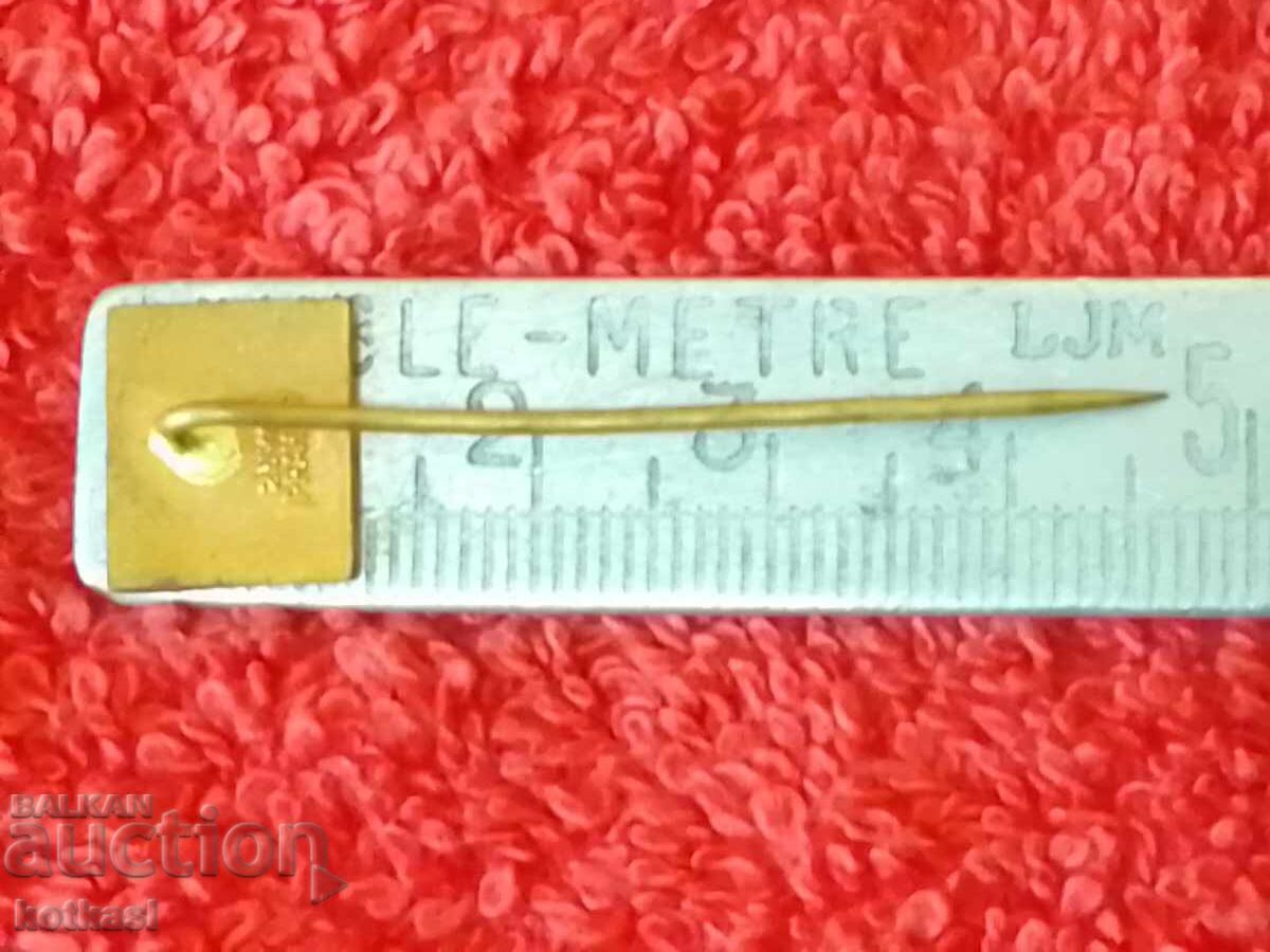 Old solid bronze pin badge marked TRANS GAS with price 2.50 BGN | € 1.28 Old solid bronze pin badge marked TRANS GAS with price 2.50 BGN | € 1.28