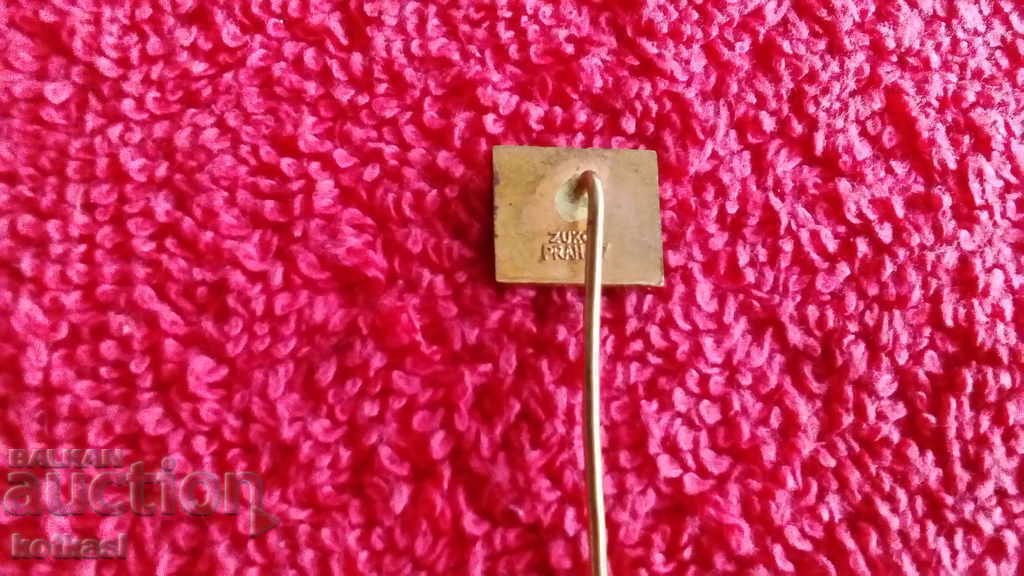 Delivery of Old solid bronze pin badge marked TRANS GAS Delivery of Old solid bronze pin badge marked TRANS GAS