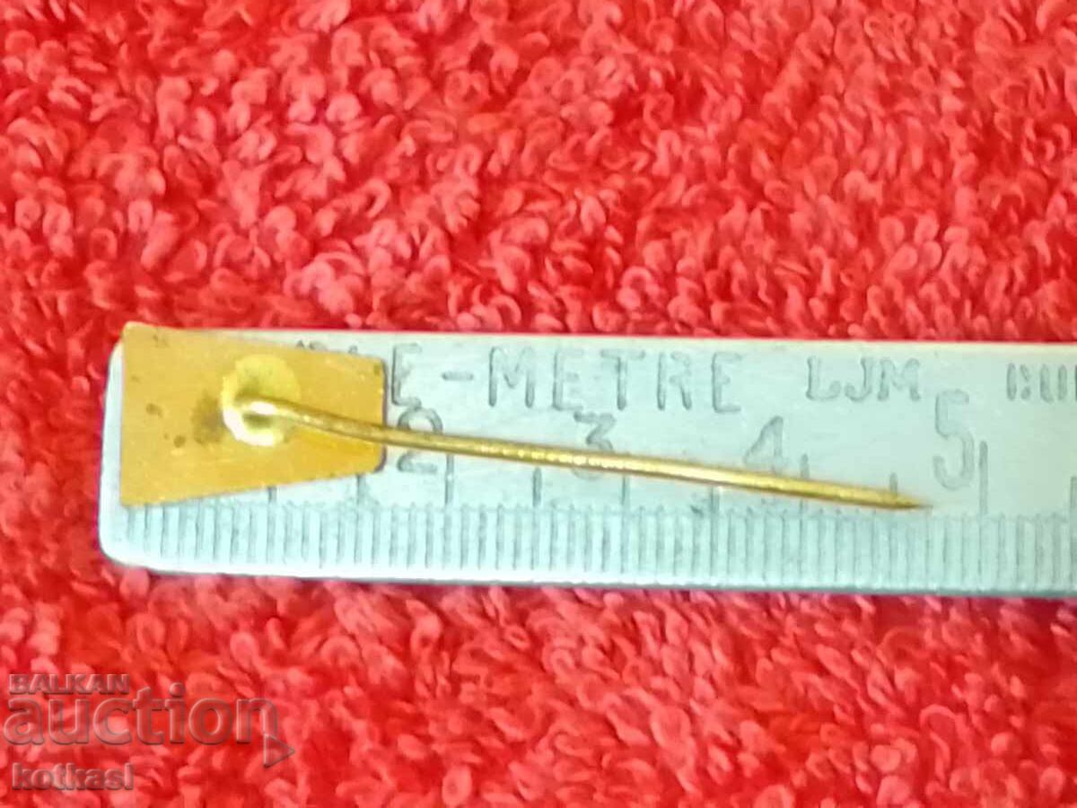 Old ZSS TREBIC solid bronze pin badge with price 2.50 BGN | € 1.28 Old ZSS TREBIC solid bronze pin badge with price 2.50 BGN | € 1.28