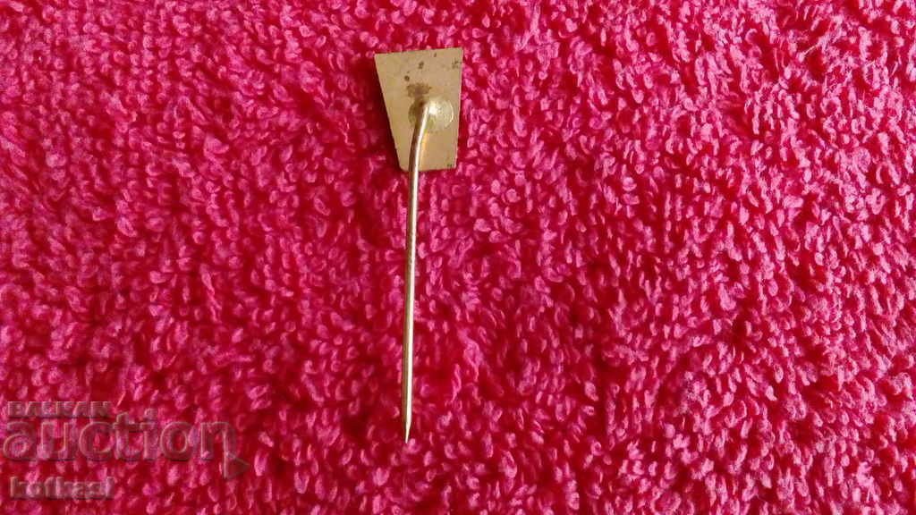 Old ZSS TREBIC solid bronze pin badge - 5 Old ZSS TREBIC solid bronze pin badge - 5