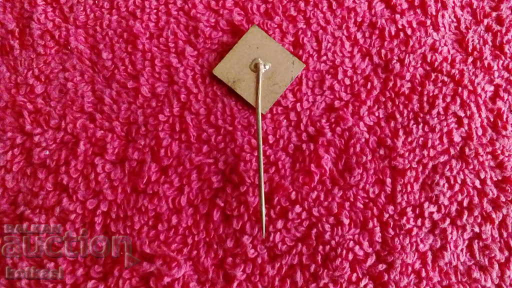 Delivery of Old massive badge bronze pin Delivery of Old massive badge bronze pin