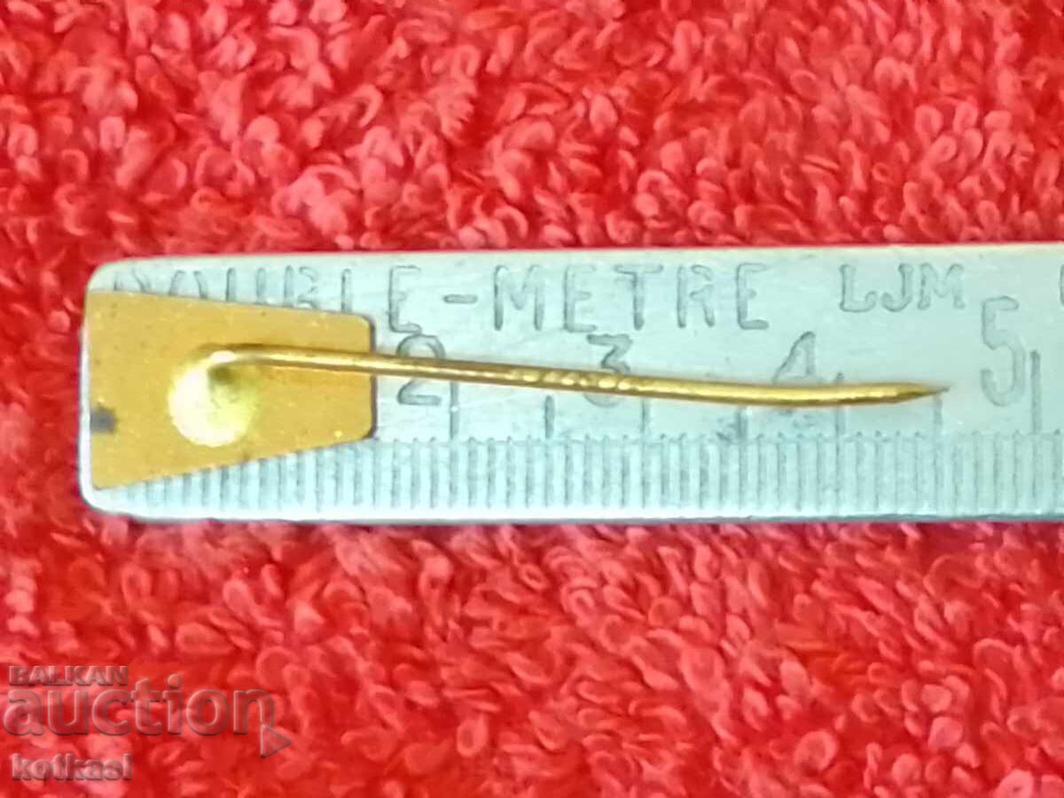 Old Solid ZSS TREBIC Bronze Pin Badge with price 2.50 BGN | € 1.28