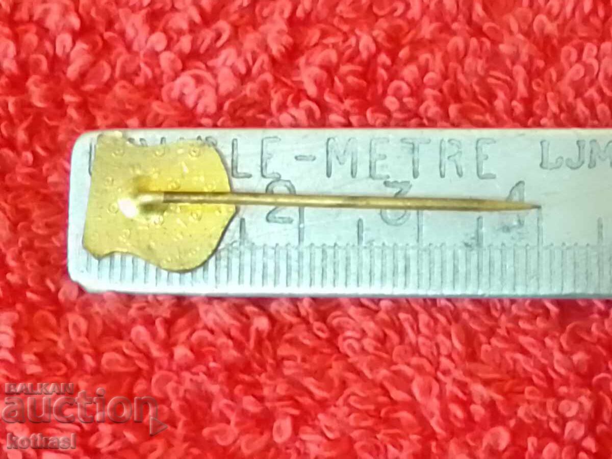 Стара значка бронз игла Кон спортна град PARDUBICE с цена 3.50 лв. | € 1.79 Стара значка бронз игла Кон спортна град PARDUBICE с цена 3.50 лв. | € 1.79