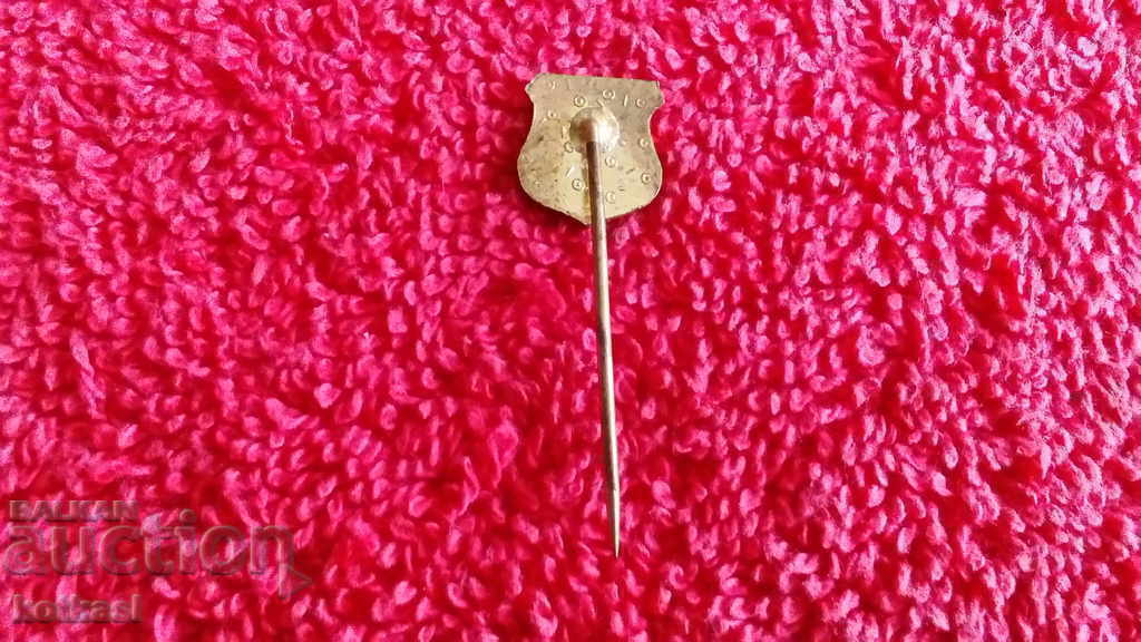 Доставка на Стара значка бронз игла Кон спортна град PARDUBICE Доставка на Стара значка бронз игла Кон спортна град PARDUBICE