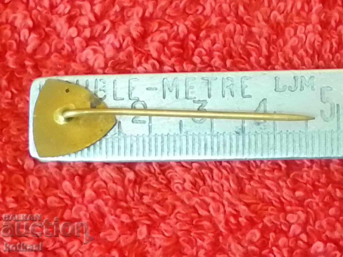 Old Chirana Modrany Solid Bronze Pin Badge with price 3.50 BGN | € 1.79 Old Chirana Modrany Solid Bronze Pin Badge with price 3.50 BGN | € 1.79