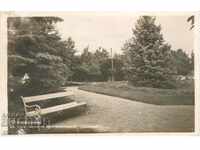 Old postcard - Orhanie, Agricultural School Park