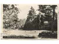 Стара картичка - Плевенъ, Могилата в Скобелевия паркъ