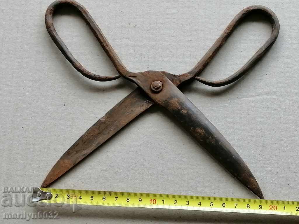 Delivery of Renaissance forged scissors, wrought iron