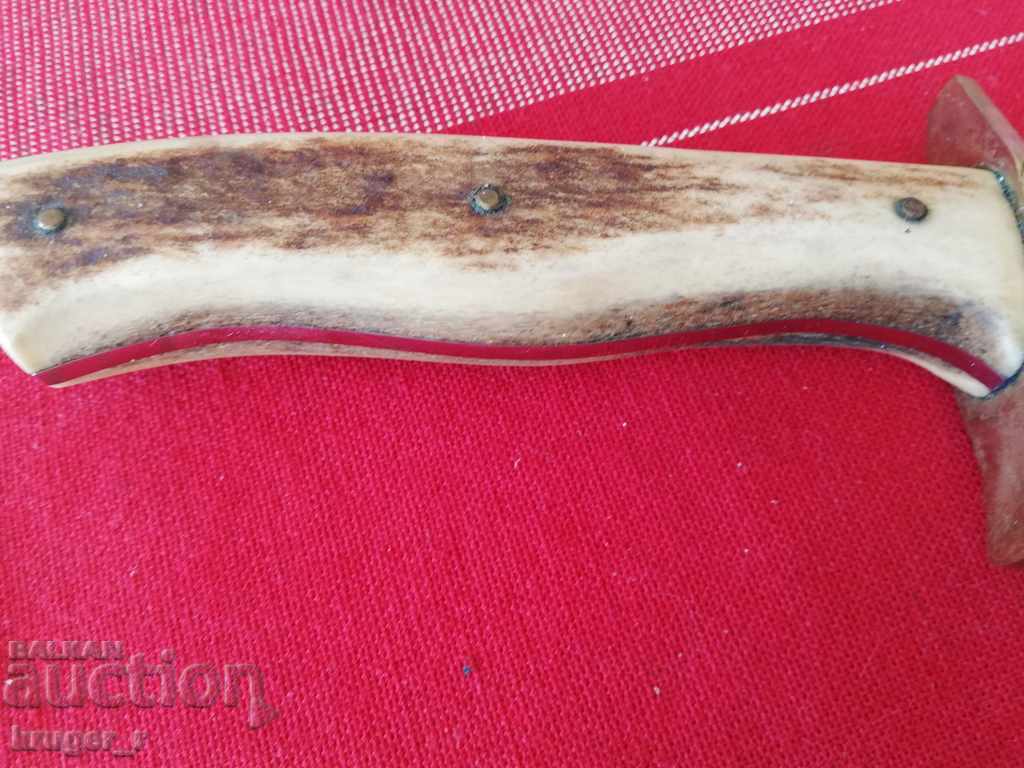 Licitație Cuțit de vânătoare Licitație Cuțit de vânătoare