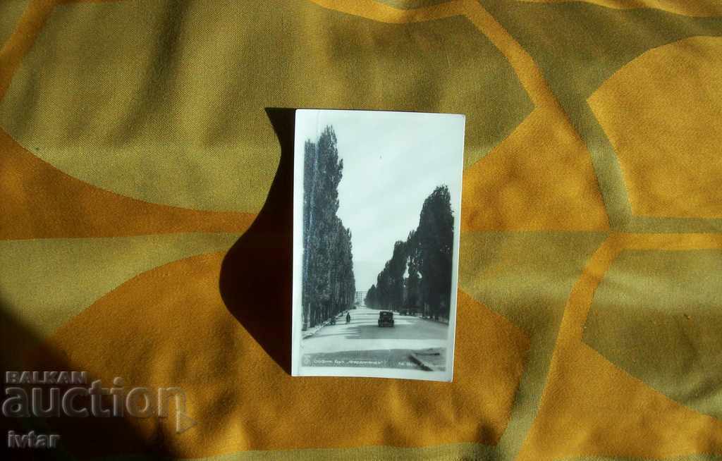 Old postcard - Sofia Ferdinand Boulevard