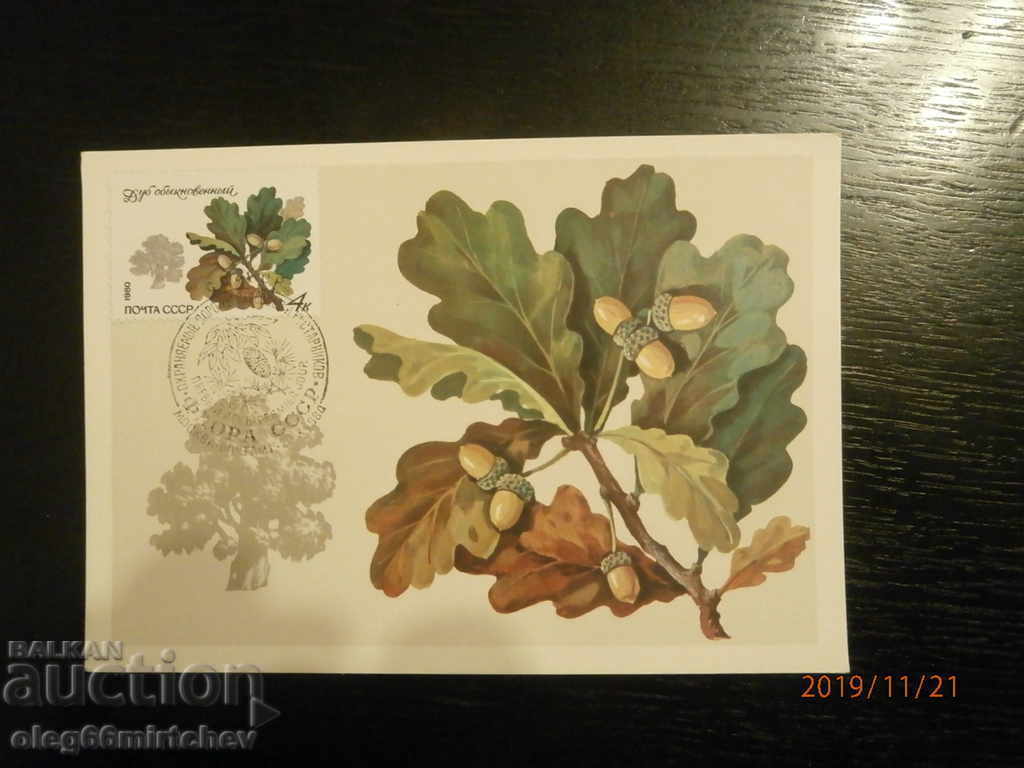 1980 KM USSR - Protected species of trees and shrubs with price 3.00 BGN | € 1.53