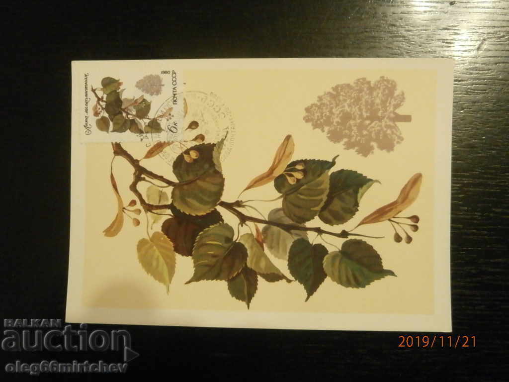 Auction  1980 KM USSR - Protected species of trees and shrubs