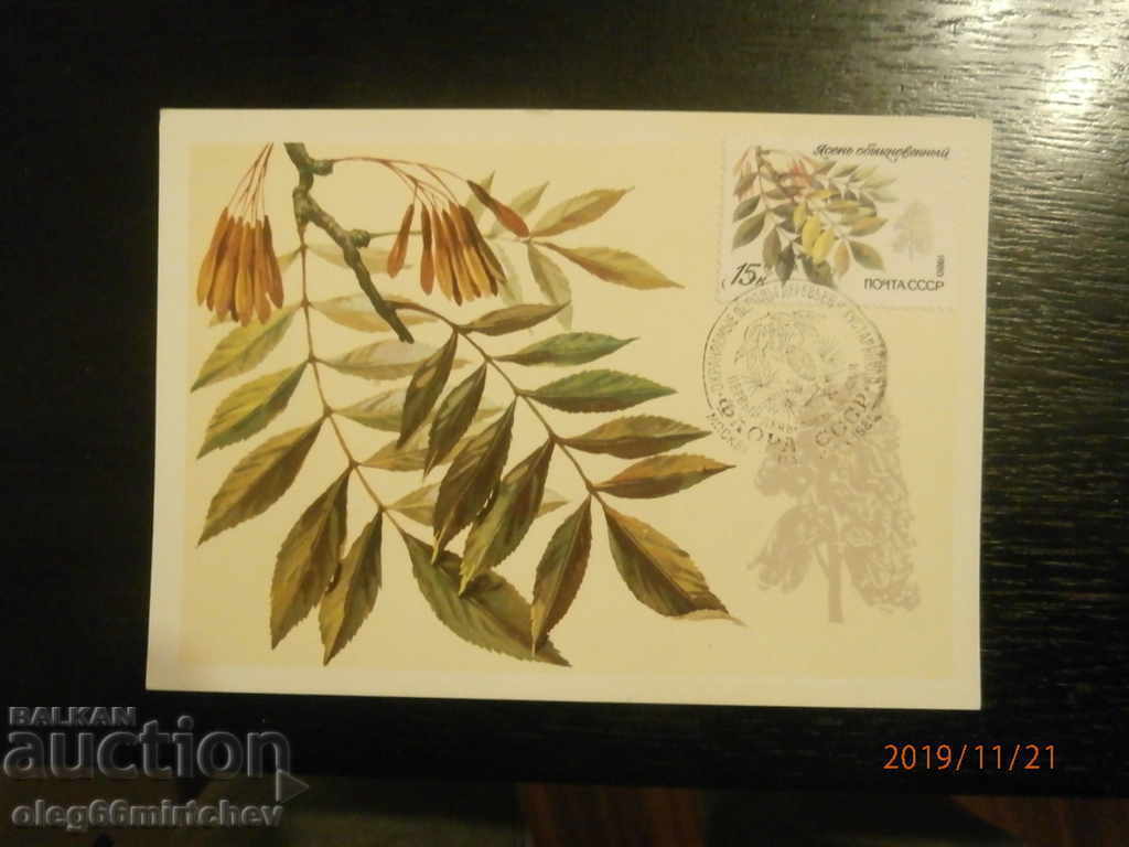 1980 KM USSR - Protected species of trees and shrubs - 5