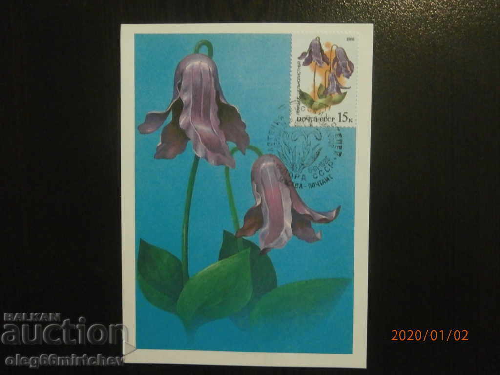 1986 KM USSR - Plants of the Russian steppe 5 pcs with price 3.00 BGN | € 1.53 1986 KM USSR - Plants of the Russian steppe 5 pcs with price 3.00 BGN | € 1.53