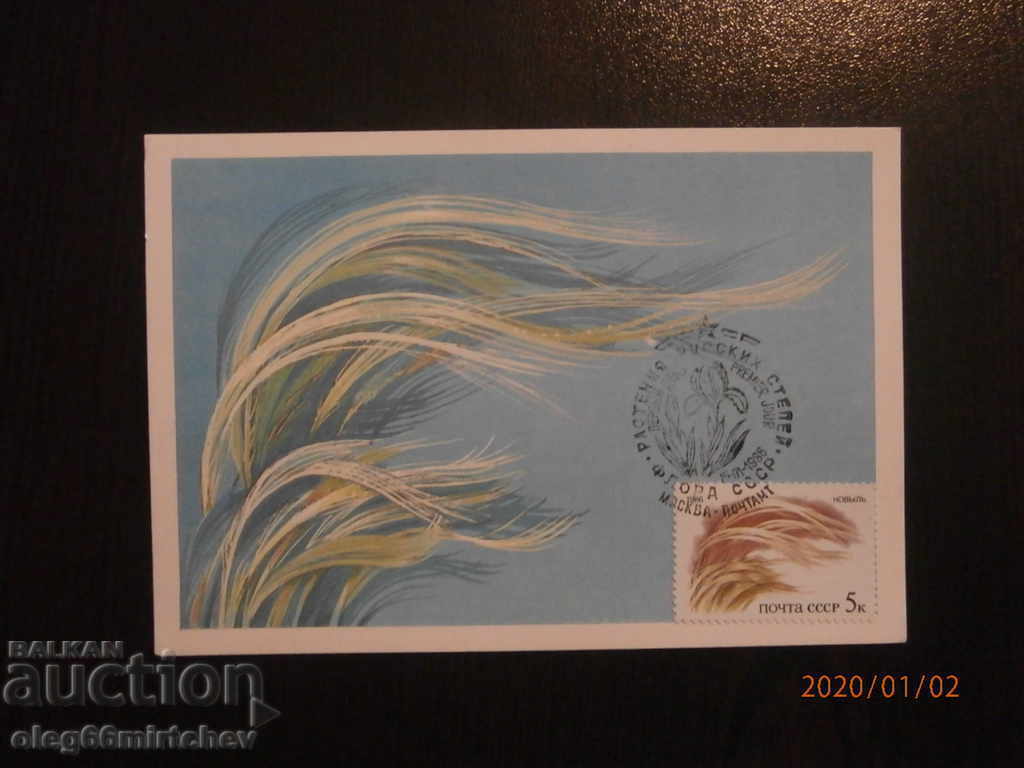 Auction 1986 KM USSR - Plants of the Russian steppe 5 pcs Auction 1986 KM USSR - Plants of the Russian steppe 5 pcs