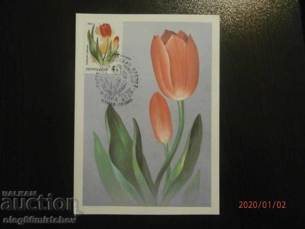 Delivery of 1986 KM USSR - Plants of the Russian steppe 5 pcs Delivery of 1986 KM USSR - Plants of the Russian steppe 5 pcs