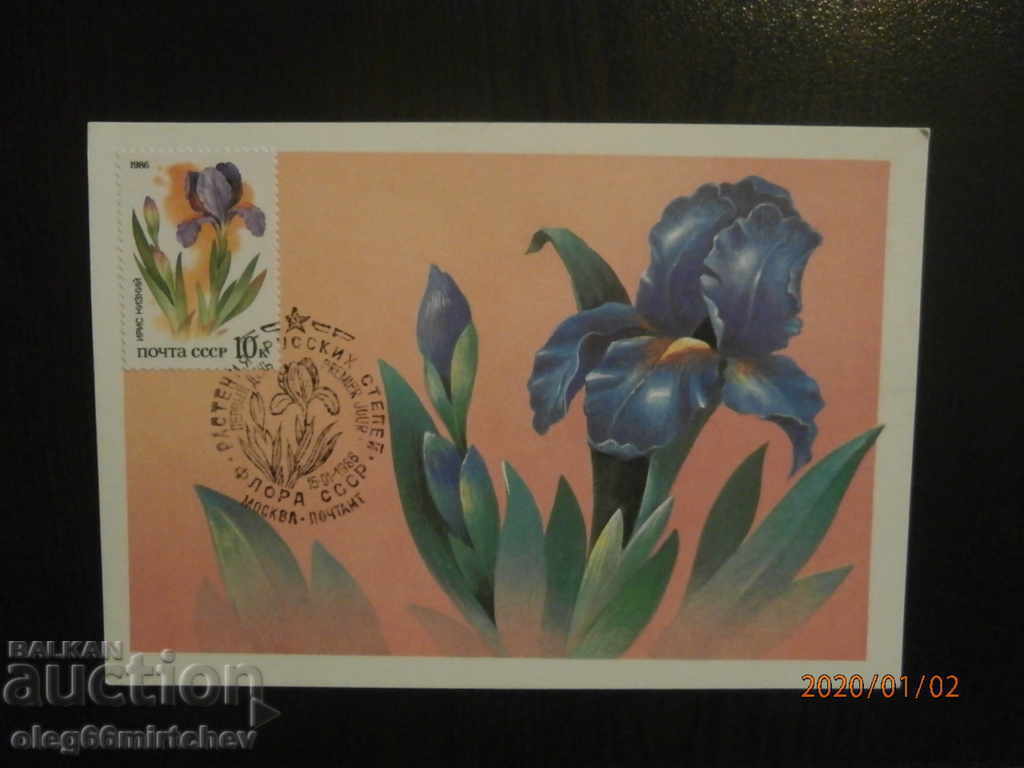 1986 KM USSR - Plants of the Russian steppe 5 pcs - 5 1986 KM USSR - Plants of the Russian steppe 5 pcs - 5