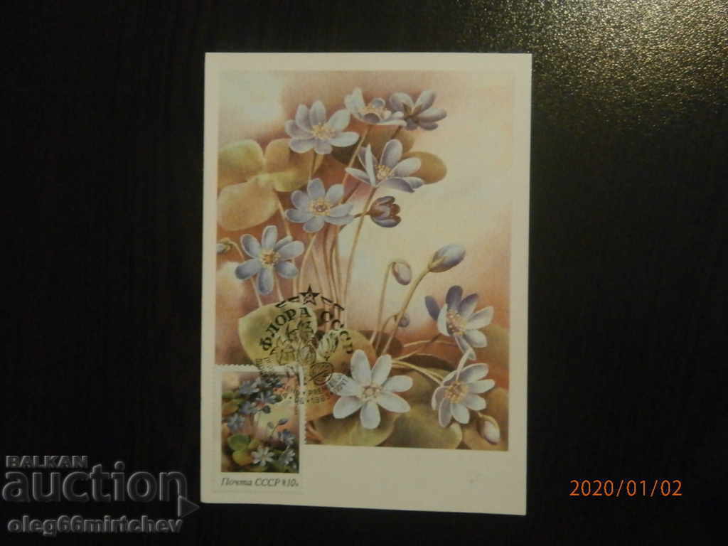 Auction  1983 KM USSR - Flora - 5 pcs