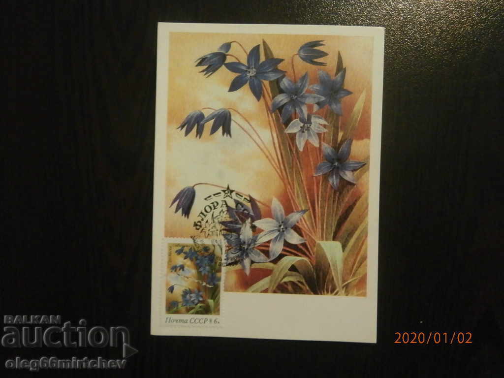 Delivery of 1983 KM USSR - Flora - 5 pcs