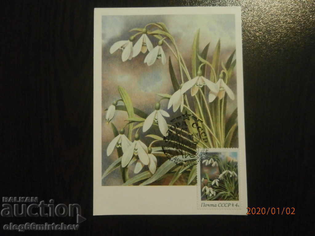 1983 KM USSR - Flora - 5 pcs - 5