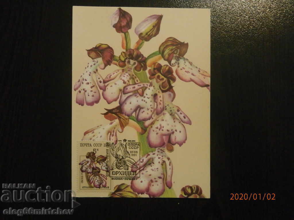 Delivery of 1991 KM USSR - Orchids - 5 pcs Delivery of 1991 KM USSR - Orchids - 5 pcs