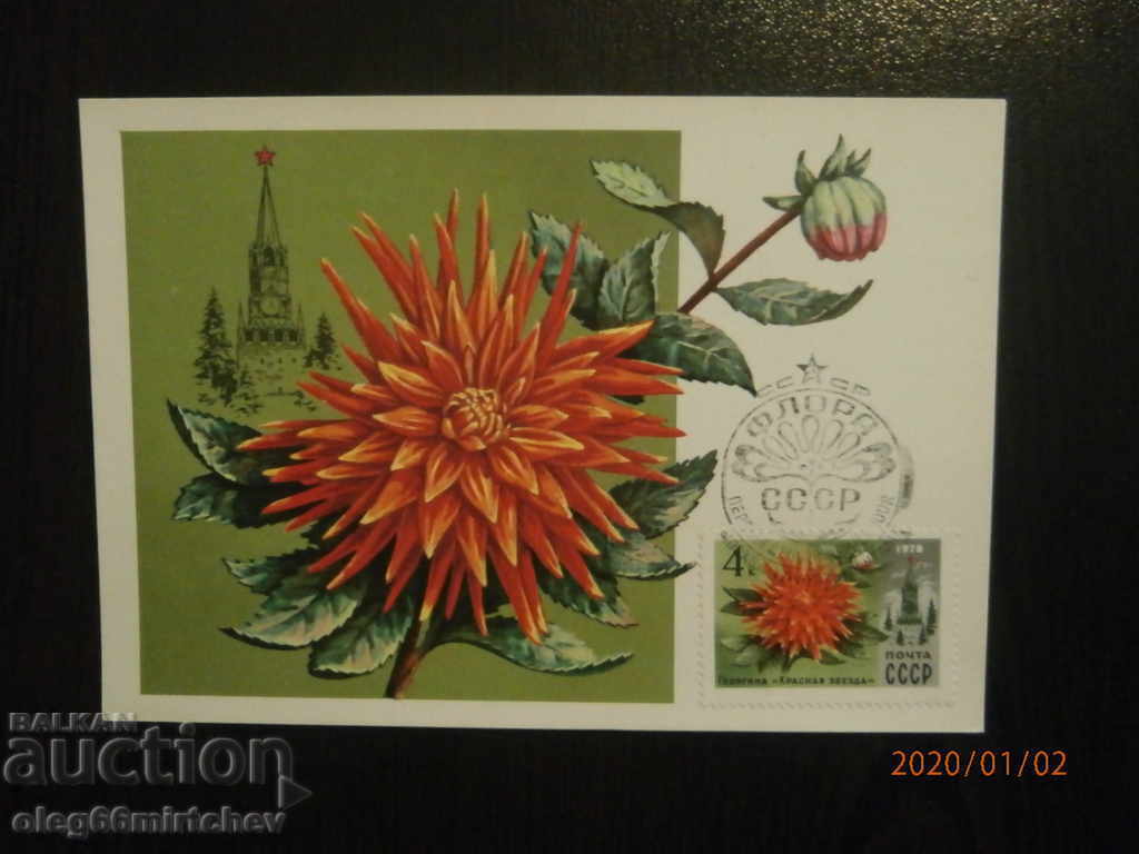 Auction  1978 KM USSR - Flora - 5 pcs