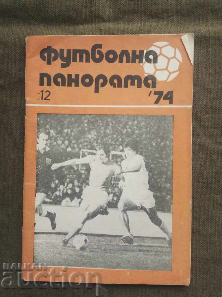Soccer panorama 12/74