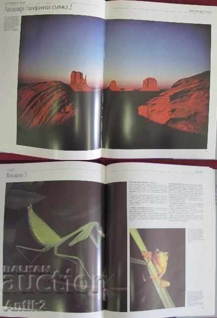 Auction 1987 Album Book Capture Wildlife and Nature Auction 1987 Album Book Capture Wildlife and Nature