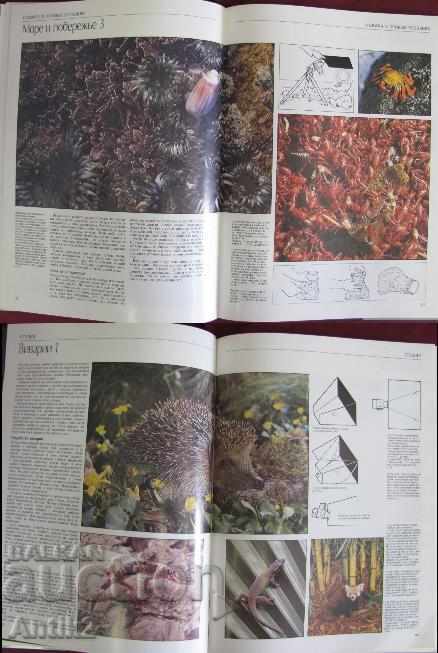 Delivery of 1987 Album Book Capture Wildlife and Nature Delivery of 1987 Album Book Capture Wildlife and Nature