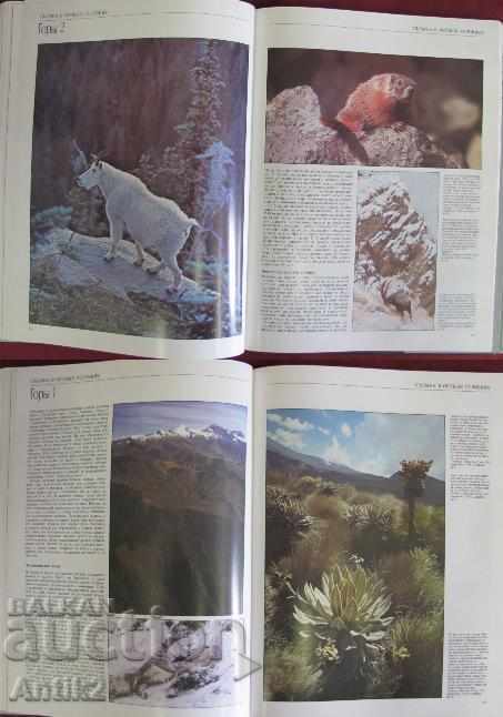 1987 Album Book Capture Wildlife and Nature - 5 1987 Album Book Capture Wildlife and Nature - 5