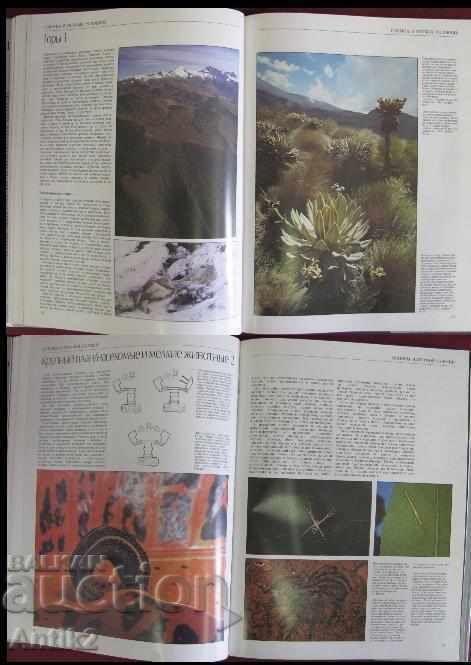 1987 Album Book Capture Wildlife and Nature - 6 1987 Album Book Capture Wildlife and Nature - 6