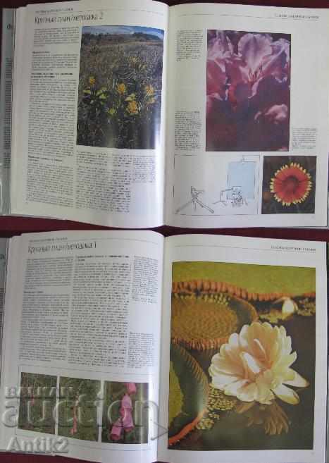 1987 Album Book Capture Wildlife and Nature - 7 1987 Album Book Capture Wildlife and Nature - 7