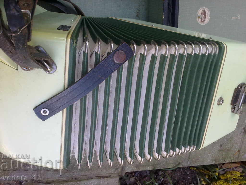 Delivery of ACCORDION -40 bass