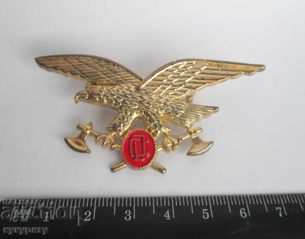 Auction  Military badges badges and deck for collection