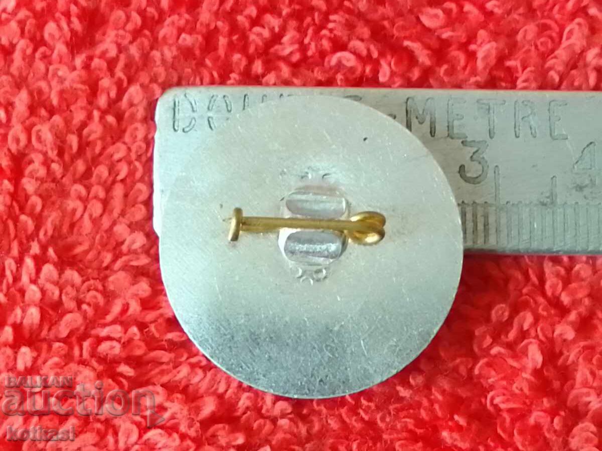 Old badge National Fund for Peace and Solidarity with price 3.50 BGN | € 1.79 Old badge National Fund for Peace and Solidarity with price 3.50 BGN | € 1.79