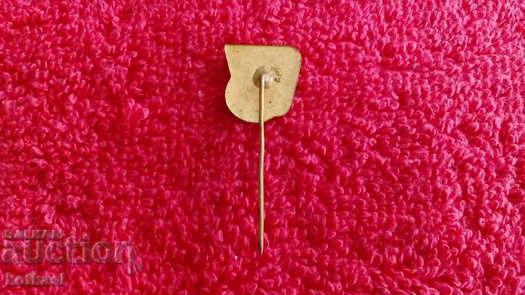 Delivery of Old social badge bronze pin enamel V.KOLAROV Sofia Elprom Delivery of Old social badge bronze pin enamel V.KOLAROV Sofia Elprom