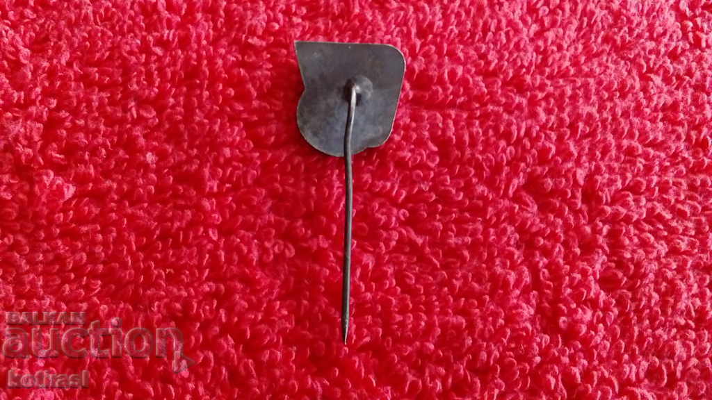 Delivery of Old social security badge pin V.KOLAROV ELPROM SOFIA Delivery of Old social security badge pin V.KOLAROV ELPROM SOFIA
