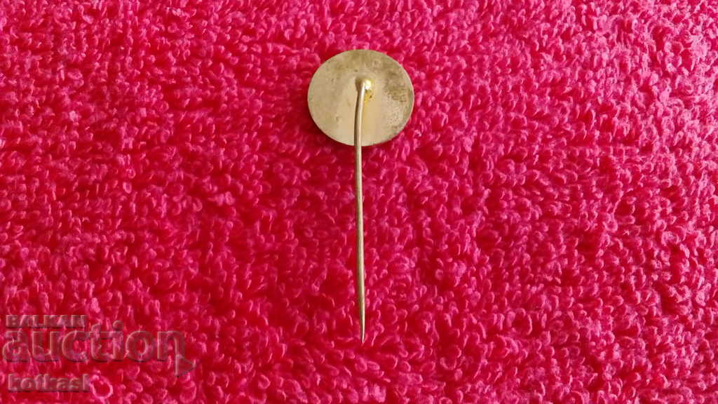 Delivery of Old sports badge bronze pin Volleyball Delivery of Old sports badge bronze pin Volleyball