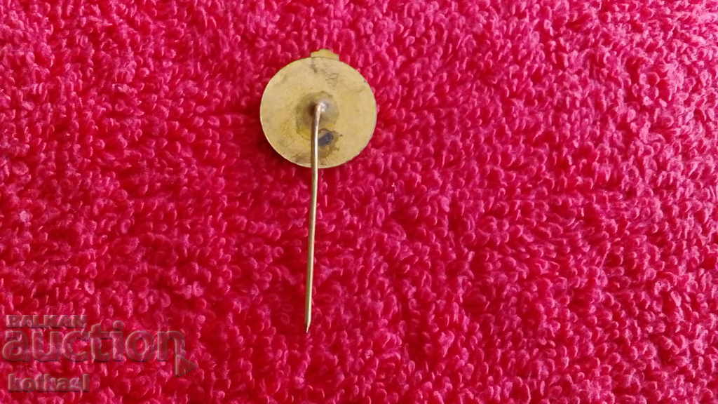 Delivery of Old metal badge bronze pin enamel bulb light Delivery of Old metal badge bronze pin enamel bulb light