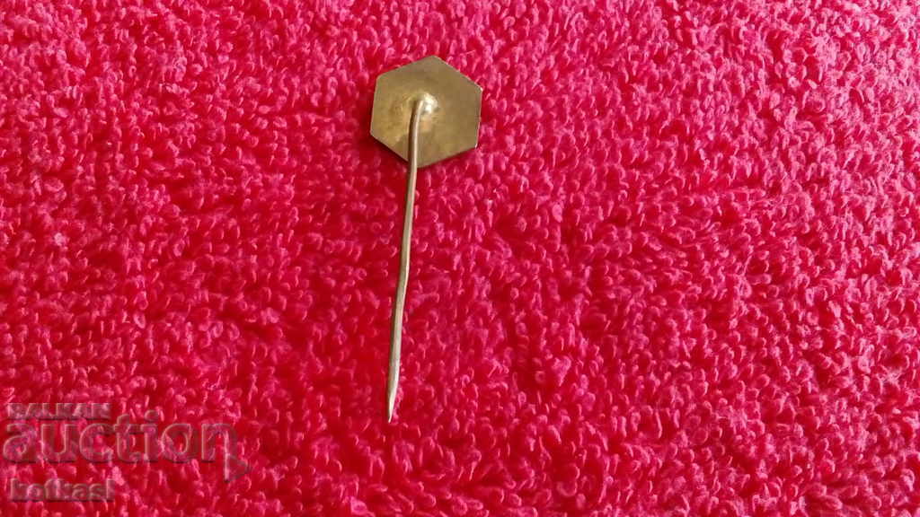 Delivery of Old metal bronze pin badge Delivery of Old metal bronze pin badge
