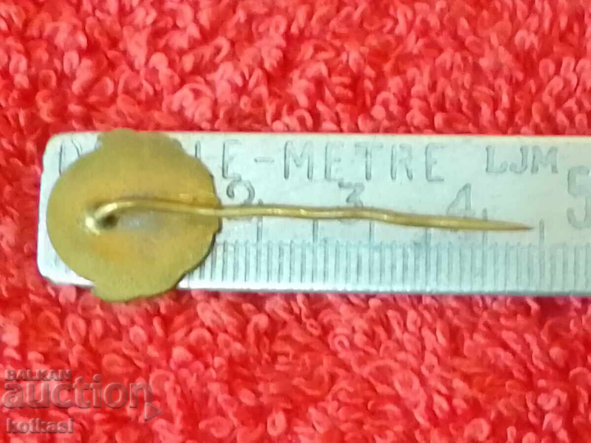 Old metal bronze pin badge with price 2.50 BGN | € 1.28 Old metal bronze pin badge with price 2.50 BGN | € 1.28