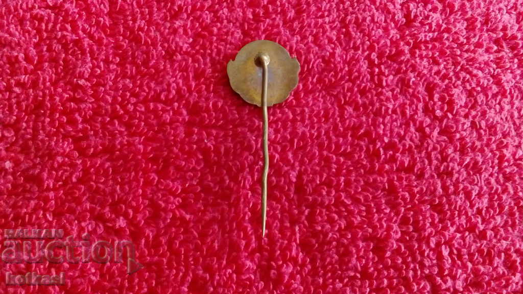 Delivery of Old metal bronze pin badge Delivery of Old metal bronze pin badge