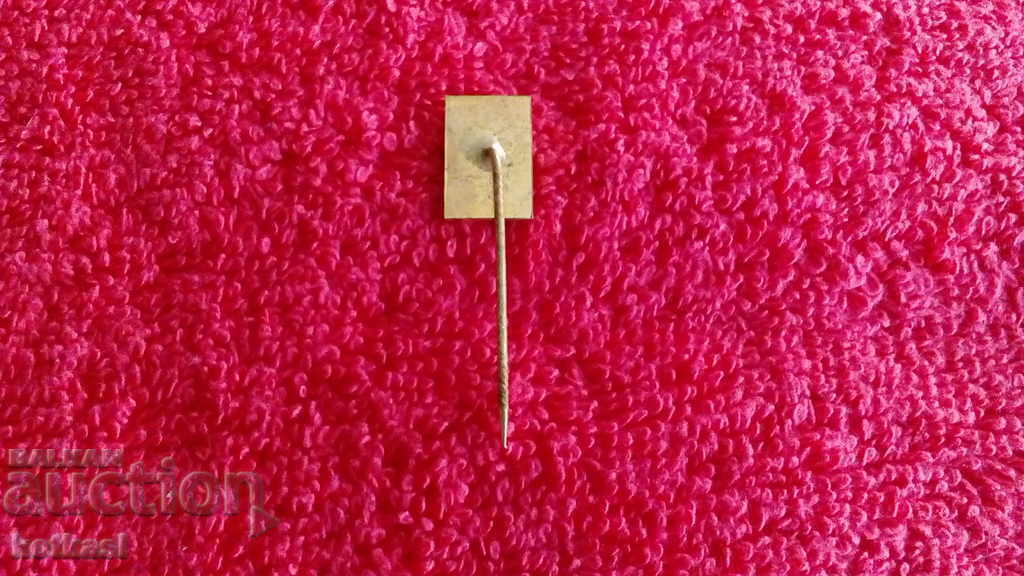 Delivery of Old badge bronze pin enamel Delivery of Old badge bronze pin enamel