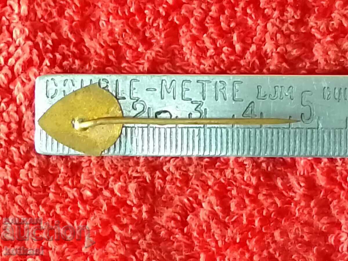 Old metal bronze badge pin with price 3.50 BGN | € 1.79 Old metal bronze badge pin with price 3.50 BGN | € 1.79