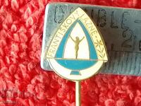 Old metal bronze badge pin