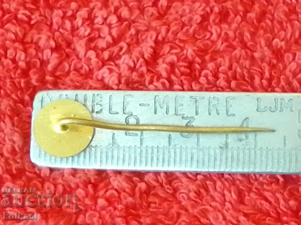 Old metal bronze badge pin with price 2.50 BGN | € 1.28 Old metal bronze badge pin with price 2.50 BGN | € 1.28