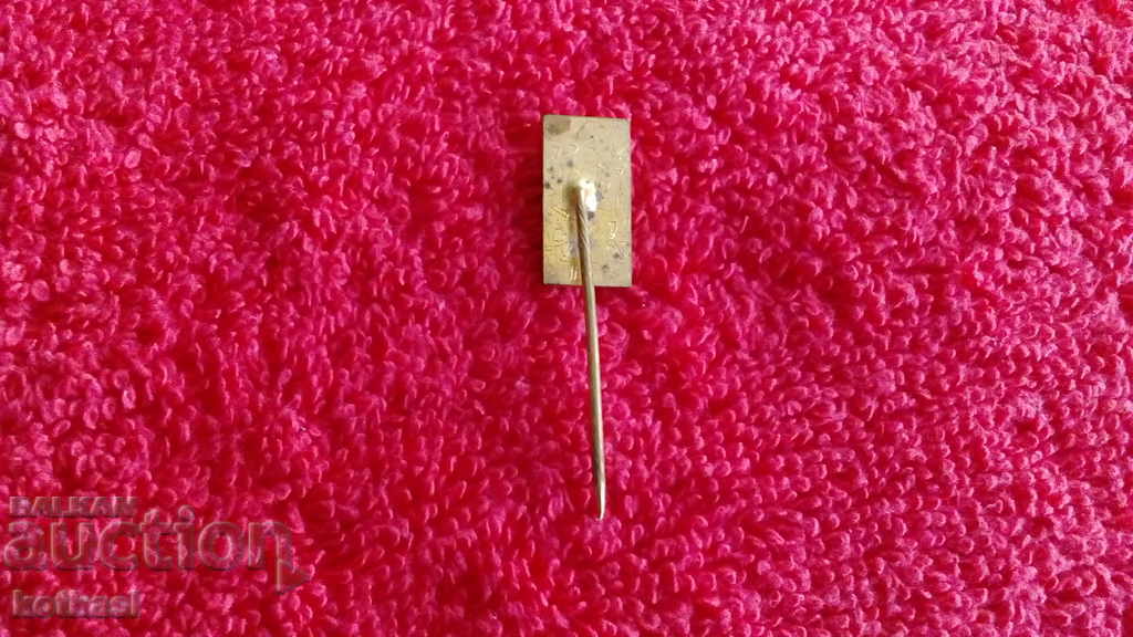 Auction Old solid metal bronze badge pin SNEV Auction Old solid metal bronze badge pin SNEV