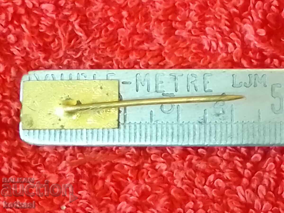 Delivery of Old solid metal bronze badge pin SNEV Delivery of Old solid metal bronze badge pin SNEV
