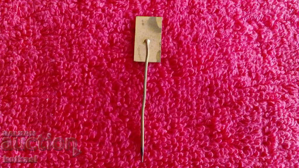 Delivery of Old solid metal bronze badge pin VRANOV N.D. Slovakia Delivery of Old solid metal bronze badge pin VRANOV N.D. Slovakia