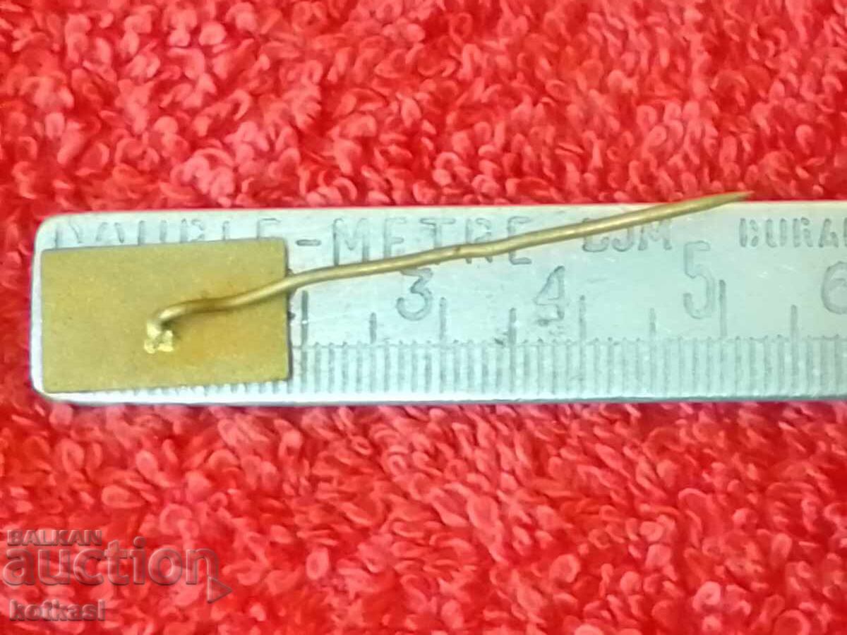 Old metal bronze pin badge STRAZNICE Slovenia with price 1.50 BGN | € 0.77 Old metal bronze pin badge STRAZNICE Slovenia with price 1.50 BGN | € 0.77
